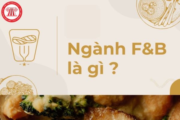 dịch vụ ăn uống mã ngành bao nhiêu