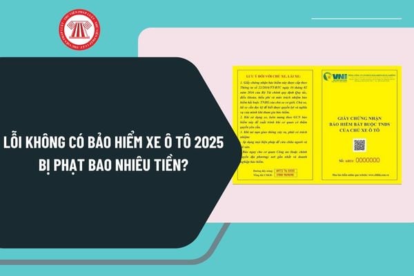 không bảo hiểm phạt bao nhiêu