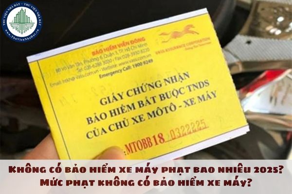 Không có bảo hiểm xe thứ phạt bao nhiêu