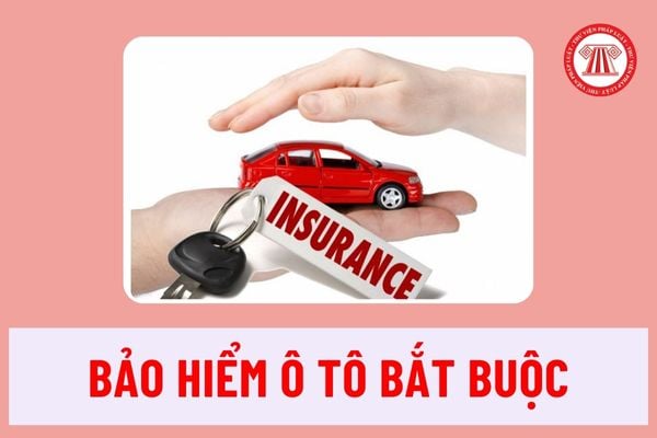không mua bảo hiểm ô tô bị phạt bao nhiêu