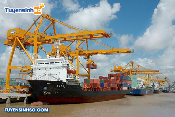 Thông tin về ngành tài chính vận tải Thông tin về ngành kinh tế tài chính vận tải