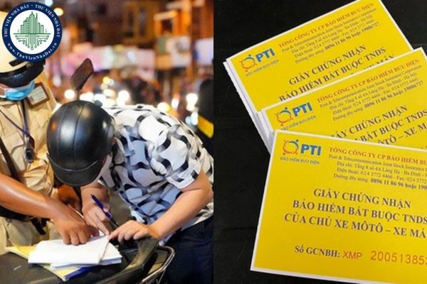 Mức phạt lỗi không tồn tại hoặc không mang bảo hiểm xe máy buộc phải năm Mức vạc lỗi không tồn tại hoặc ko mang bảo hiểm xe máy nên năm