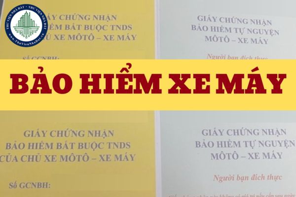 Năm bảo đảm xe máy gồm bắt buộc không Năm bảo hiểm xe máy có bắt buộc không