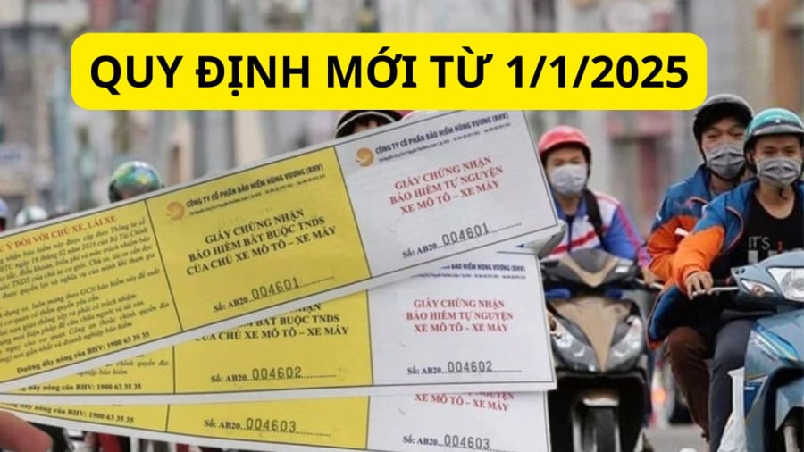 Năm tín đồ đi xe cộ máy không hẳn mua bảo hiểm bắt buộc nữa rất có thể mua bảo hiểm tự nguyện đúng không Năm tín đồ đi xe pháo máy chưa phải mua bảo đảm bắt buộc nữa rất có thể mua bảo hiểm tự nguyện đúng không