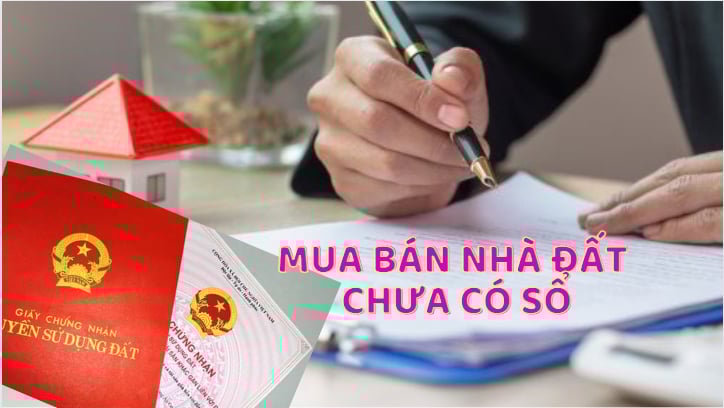 Quy định mới nhất về việc mua bán đất không tồn tại sổ đỏ Quy định mới nhất về việc giao thương đất không tồn tại sổ đỏ