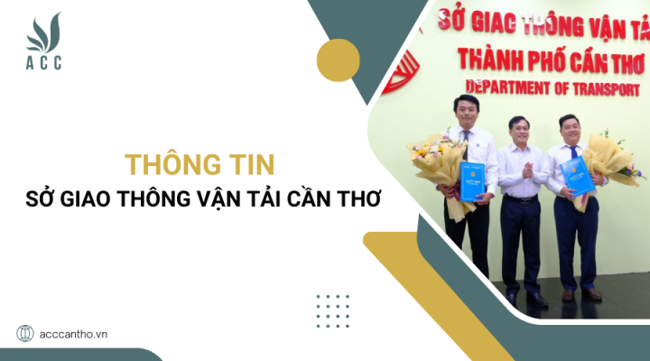 Thông tin sở giao thông vận tải cần thơ chủ yếu xác Thông tin sở giao thông vận tải cần thơ bao gồm xác
